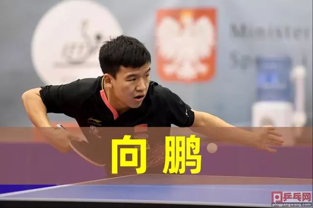 振兴相结合 振兴相结合