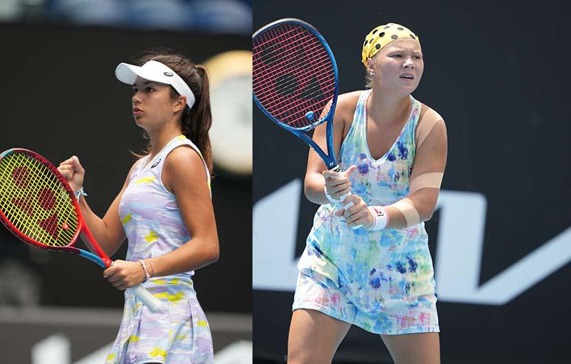 小西毒多面 小西毒多面